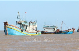 Bến Tre phấn đấu hoàn thành chỉ tiêu đăng kiểm tàu cá